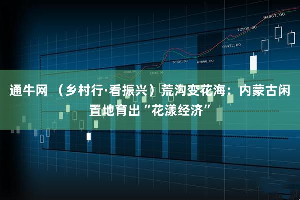 通牛网 （乡村行·看振兴）荒沟变花海：内蒙古闲置地育出“花漾经济”
