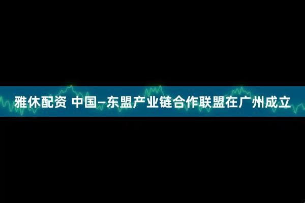 雅休配资 中国—东盟产业链合作联盟在广州成立