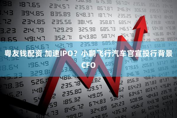 粤友钱配资 加速IPO？小鹏飞行汽车官宣投行背景CFO