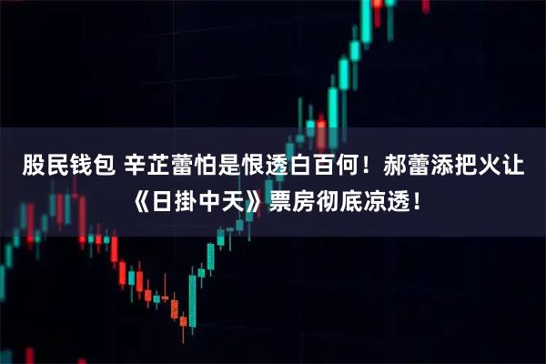 股民钱包 辛芷蕾怕是恨透白百何！郝蕾添把火让《日掛中天》票房彻底凉透！